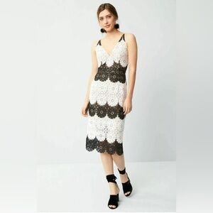 NWT Dress The Population Guipure Lace Midi Dress
